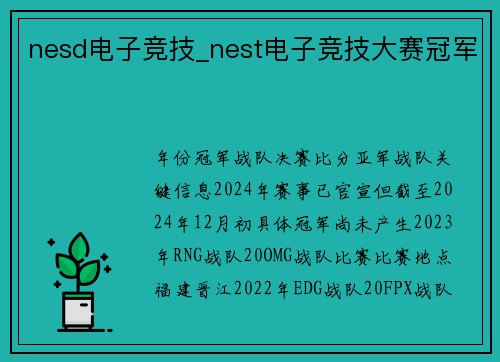 nesd电子竞技_nest电子竞技大赛冠军